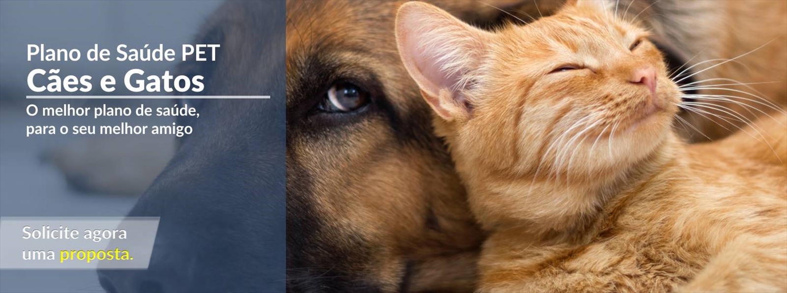 slide_saude_pet